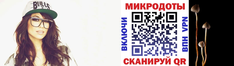 Галлюциногенные грибы Psilocybine cubensis  blacksprut зеркало  Хилок 